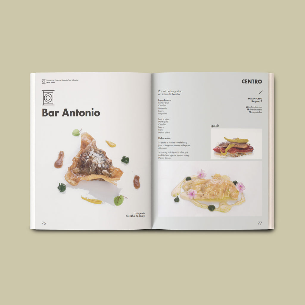 Guía 2022  -  ES (Libro)
